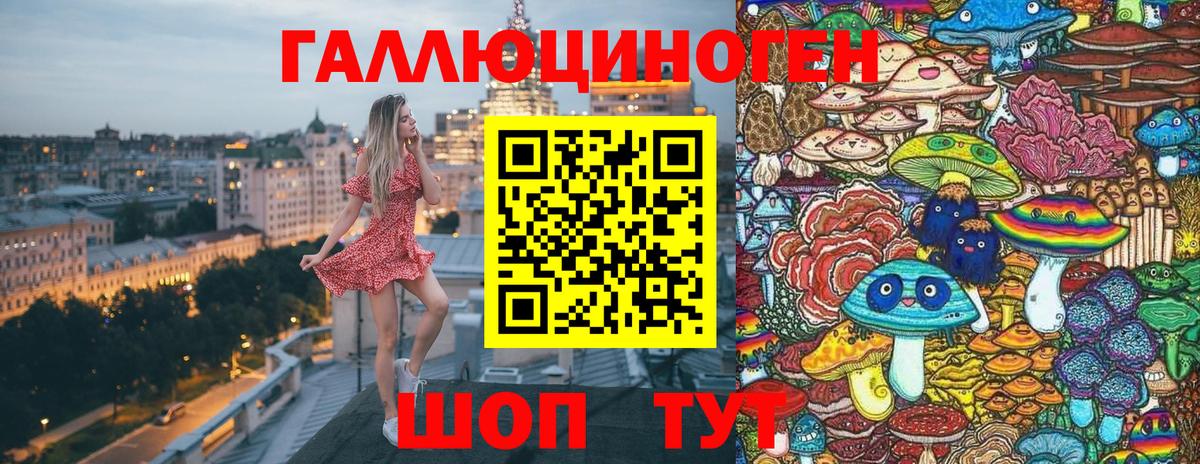 купить закладку  Галлюциногенные грибы MAGIC MUSHROOMS  Вход с VPN  Карачаевск 