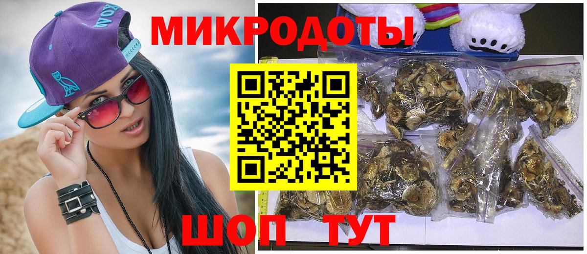 Галлюциногенные грибы прущие грибы Карачаевск